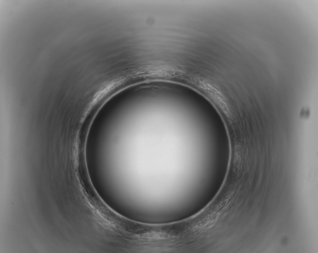 X0000096170578200801251153