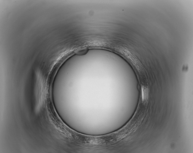 X0000096170579200801251153