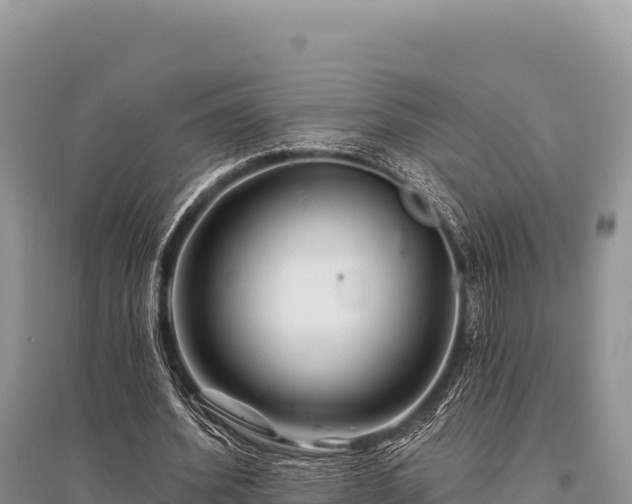 X0000096170580200801251153