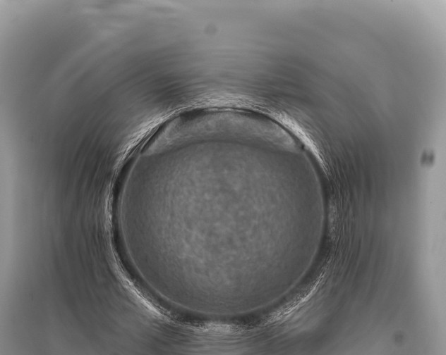 X0000096170581200801251153