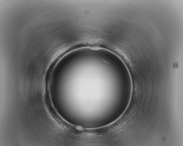 X0000096170582200801251153