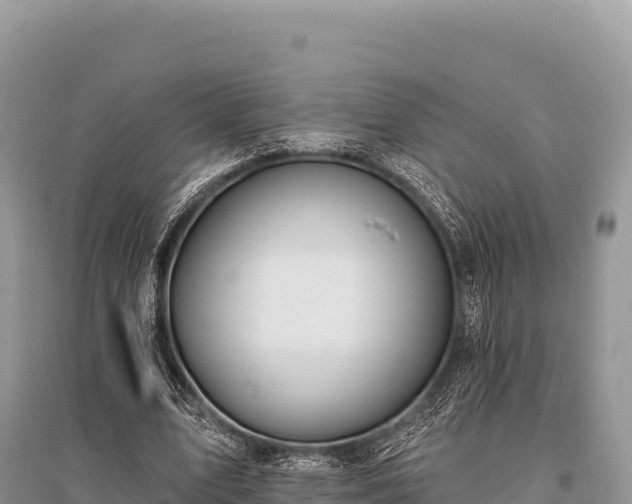 X0000096170583200801251153