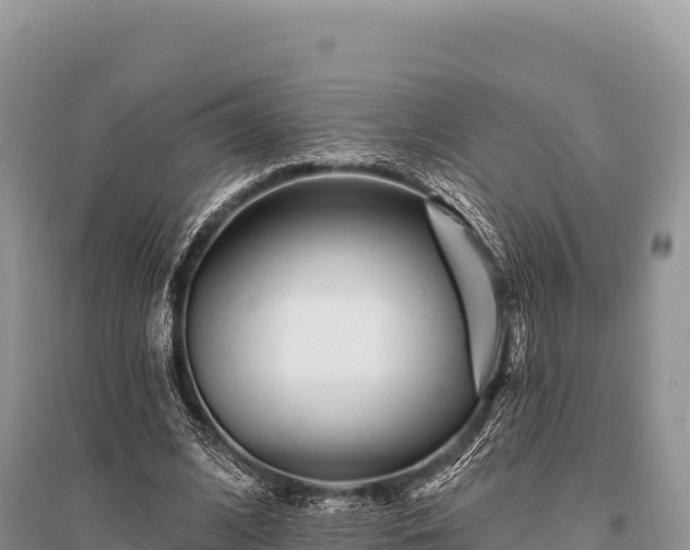 X0000096170584200801251153