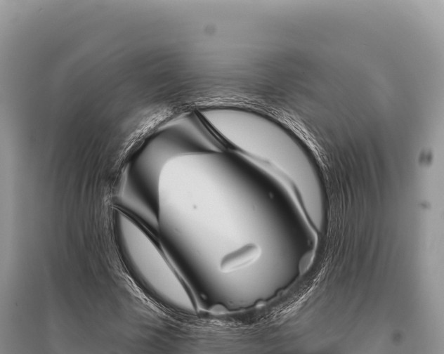 X0000096170585200801251153