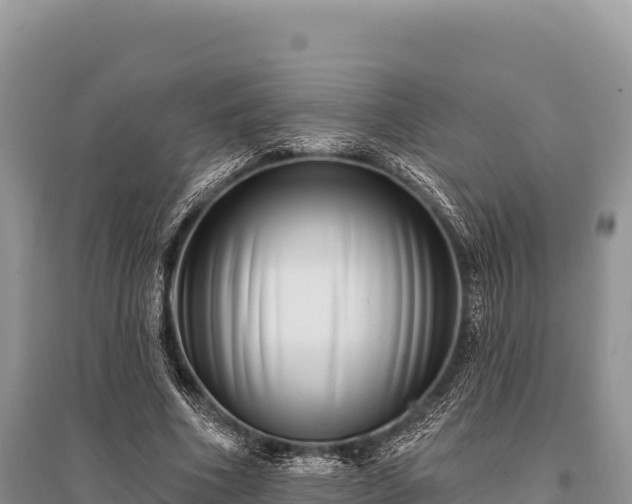 X0000096170586200801251153