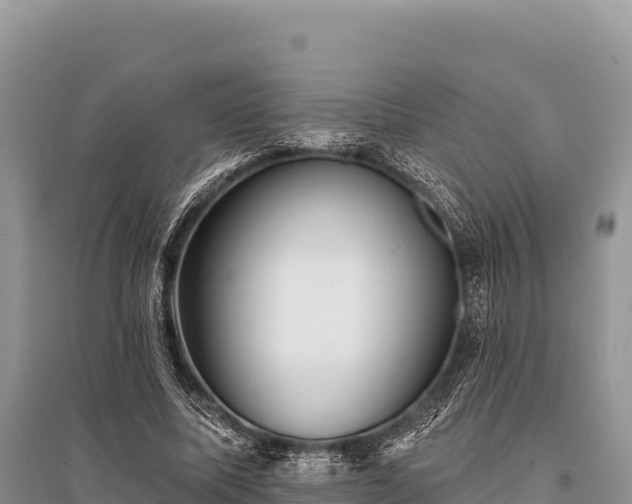 X0000096170587200801251153