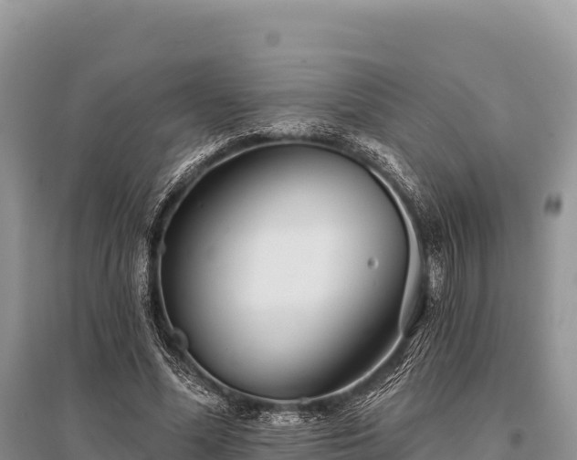 X0000096170588200801251153