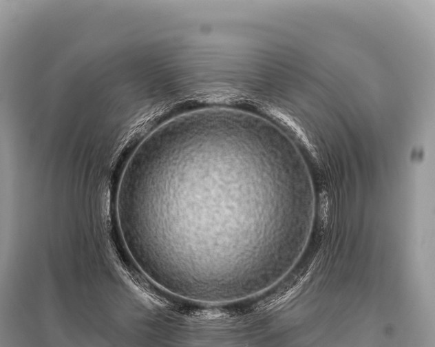 X0000096170589200801251153