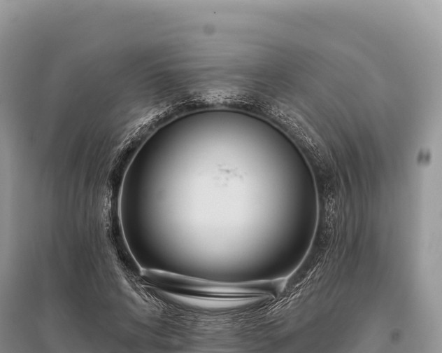 X0000096170592200801251153