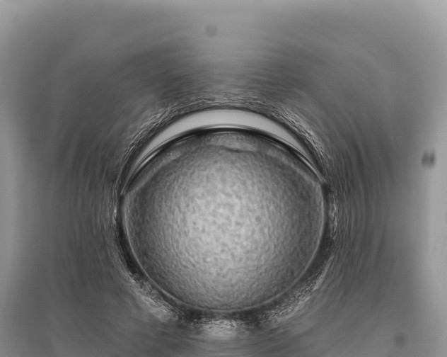 X0000096170593200801251153