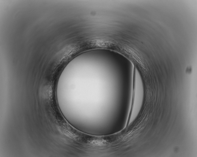 X0000096170595200801251153