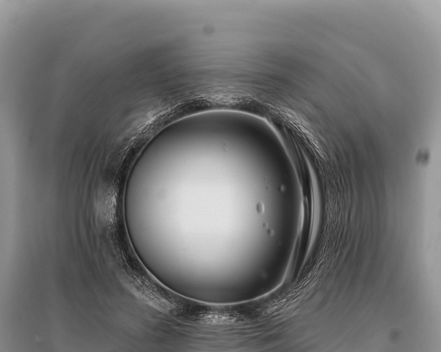 X0000096170596200801251153