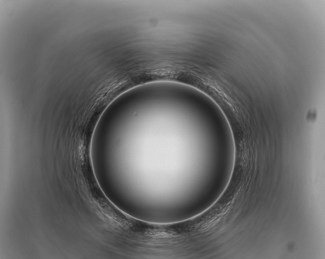 X0000096170597200801251153