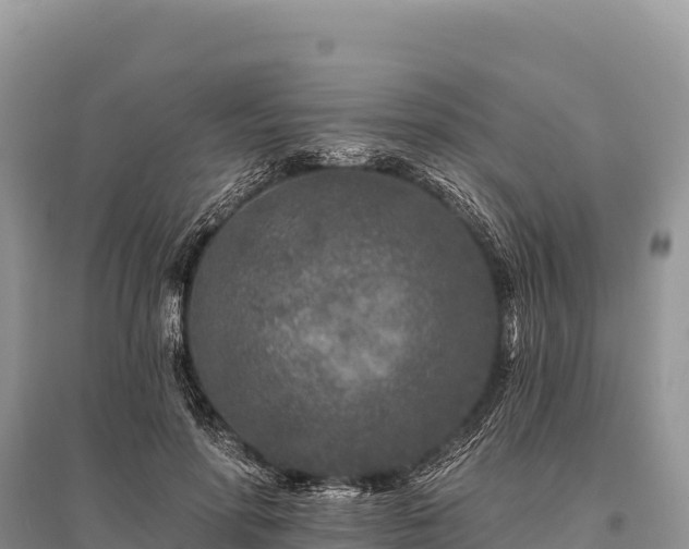 X0000096170598200801251153