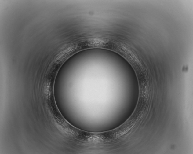 X0000096170599200801251153