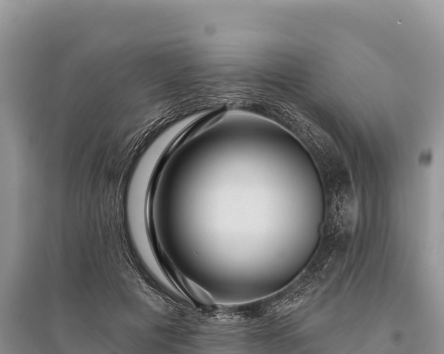 X0000096170601200801251153