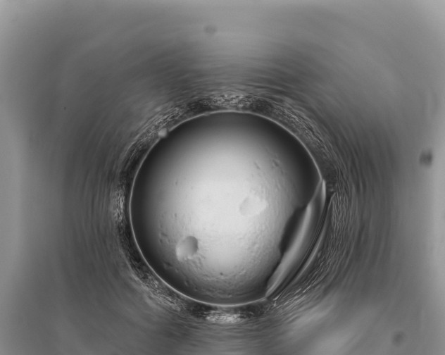 X0000096170602200801251153