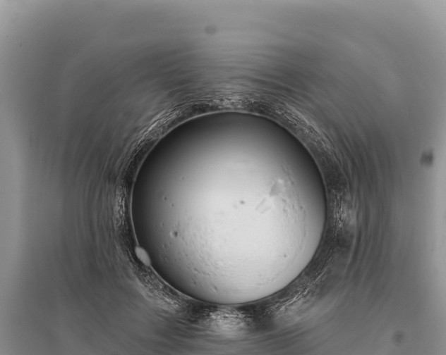 X0000096170603200801251153