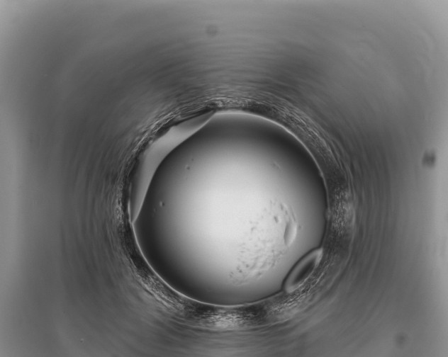 X0000096170604200801251153