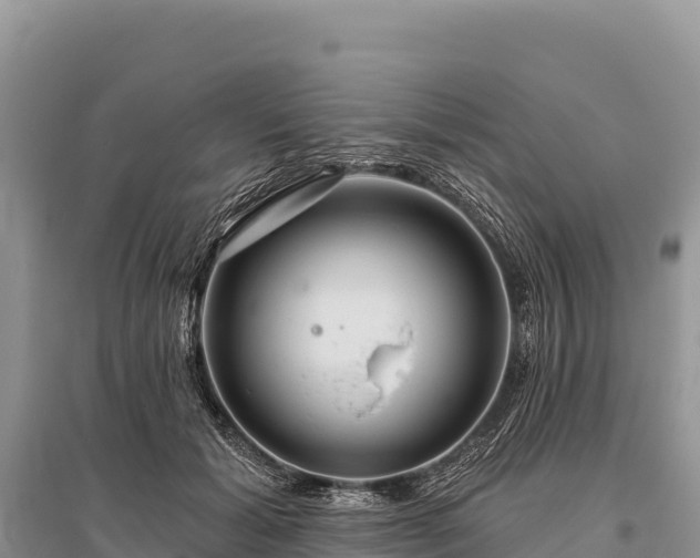 X0000096170605200801251153