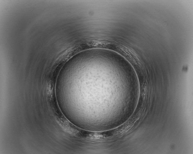 X0000096170607200801251153