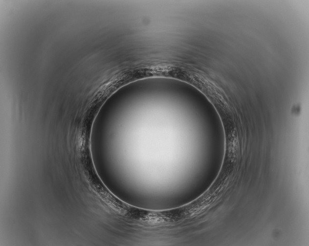 X0000096170608200801251153