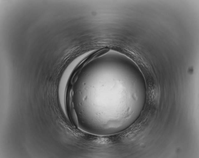 X0000096170609200801251153