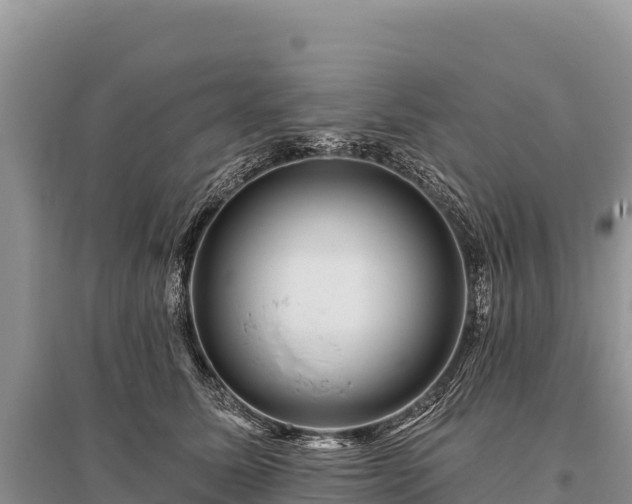 X0000096170611200801251152