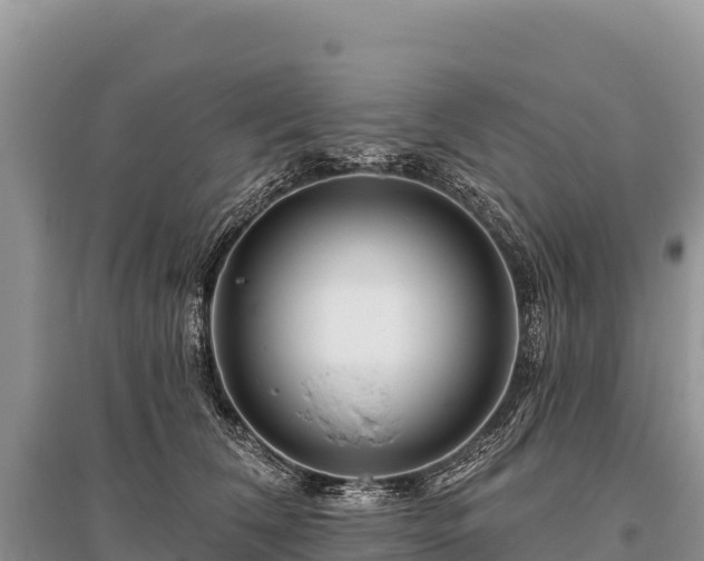 X0000096170612200801251152