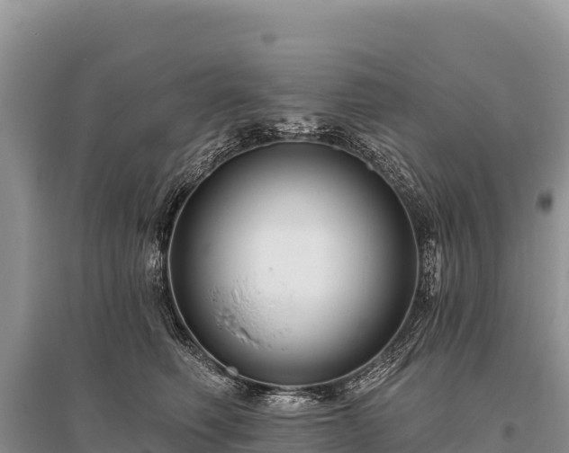 X0000096170614200801251152