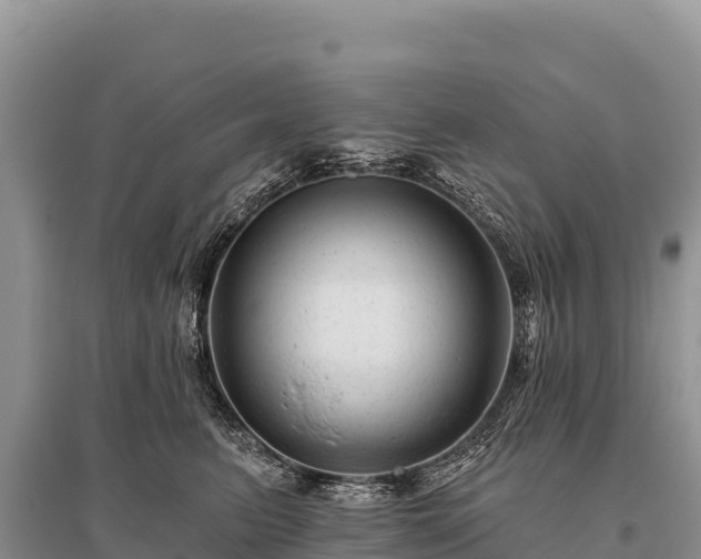 X0000096170615200801251152