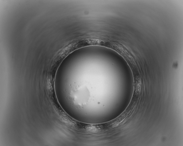 X0000096170616200801251152