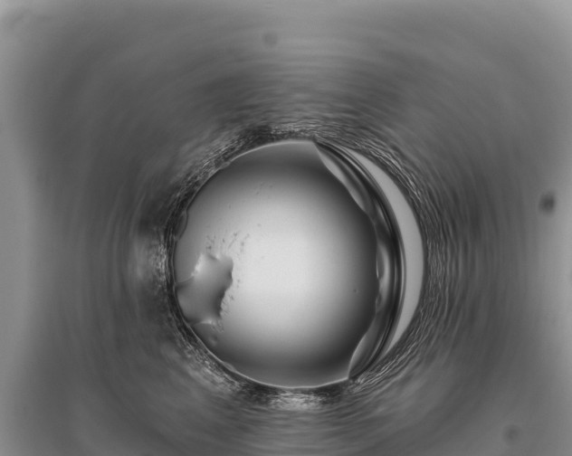 X0000096170617200801251152