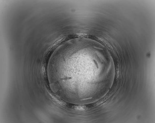 X0000096170618200801251152