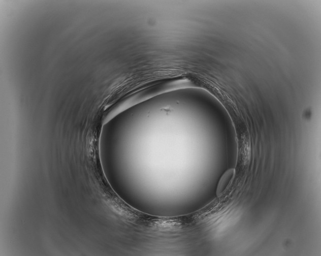 X0000096170619200801251152