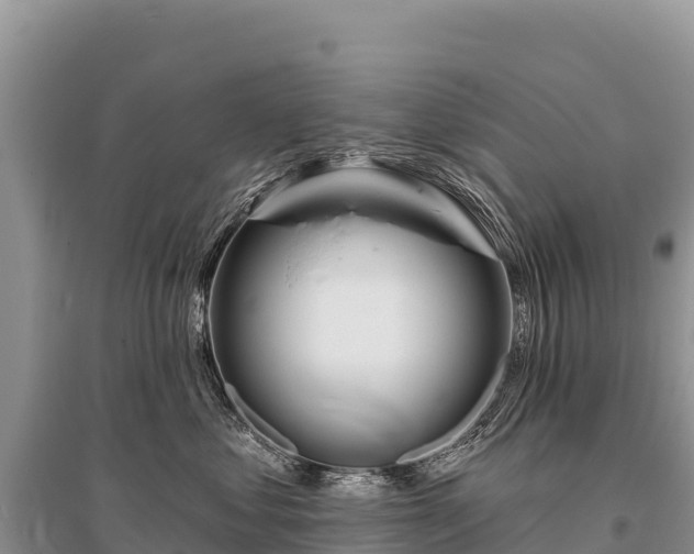 X0000096170621200801251152