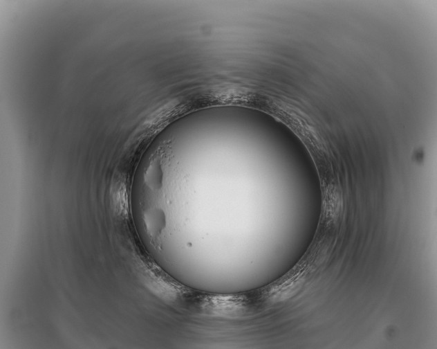 X0000096170622200801251152