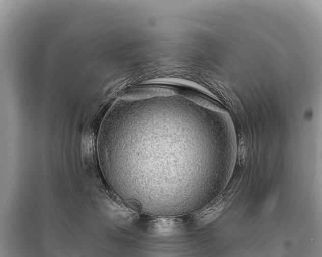 X0000096170623200801251152