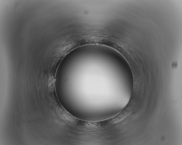 X0000096170624200801251152