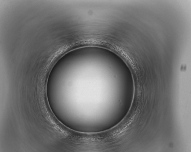 X0000096170625200801251151