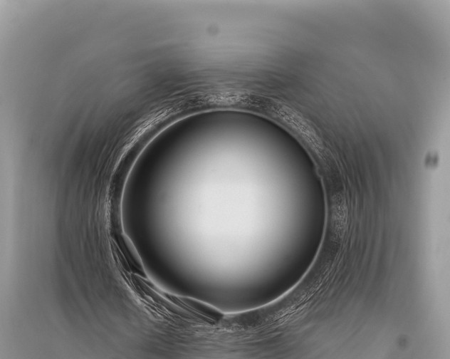 X0000096170626200801251151