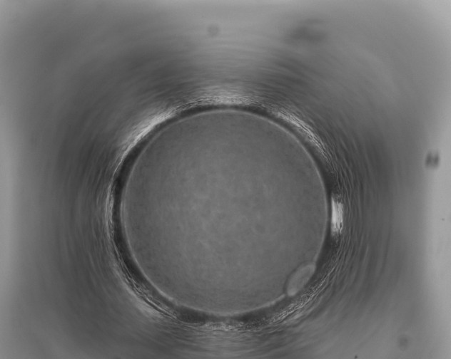 X0000096170627200801251151