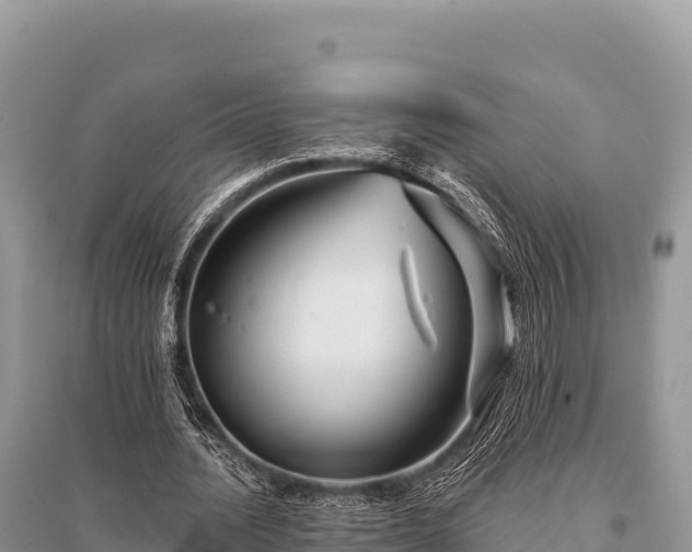 X0000096170628200801251151