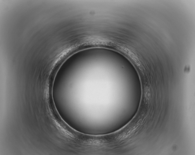 X0000096170629200801251151