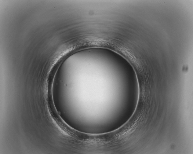 X0000096170630200801251151