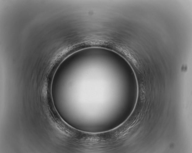 X0000096170631200801251151