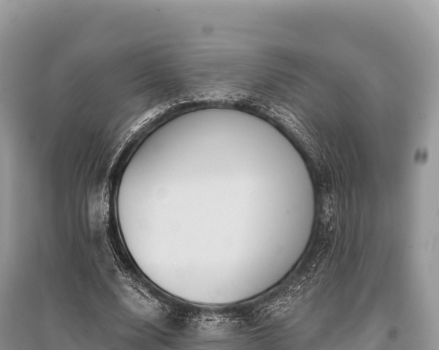 X0000096170632200801251152