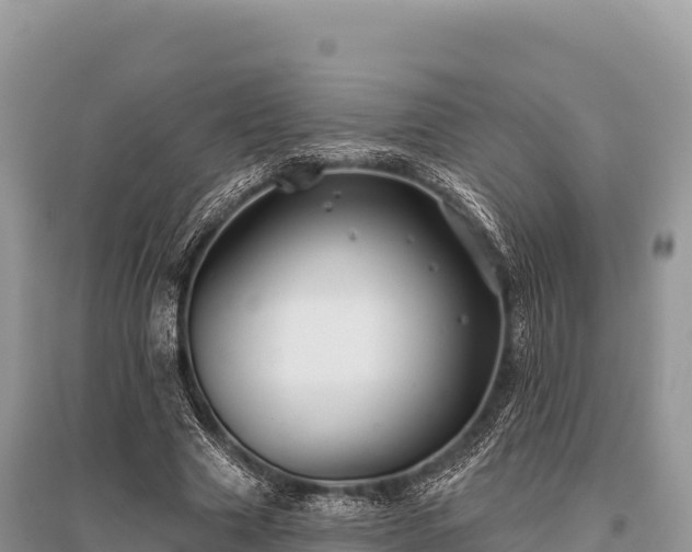 X0000096170633200801251152