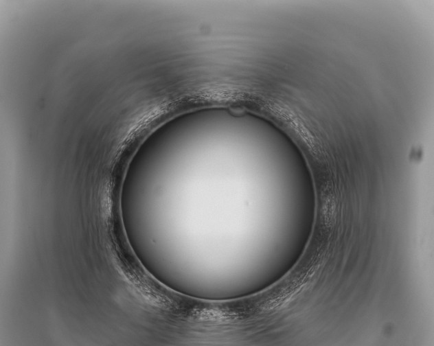 X0000096170635200801251152