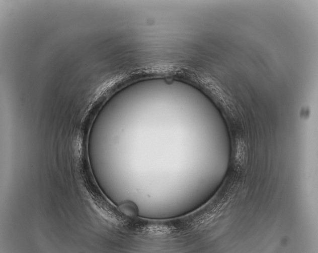 X0000096170636200801251152